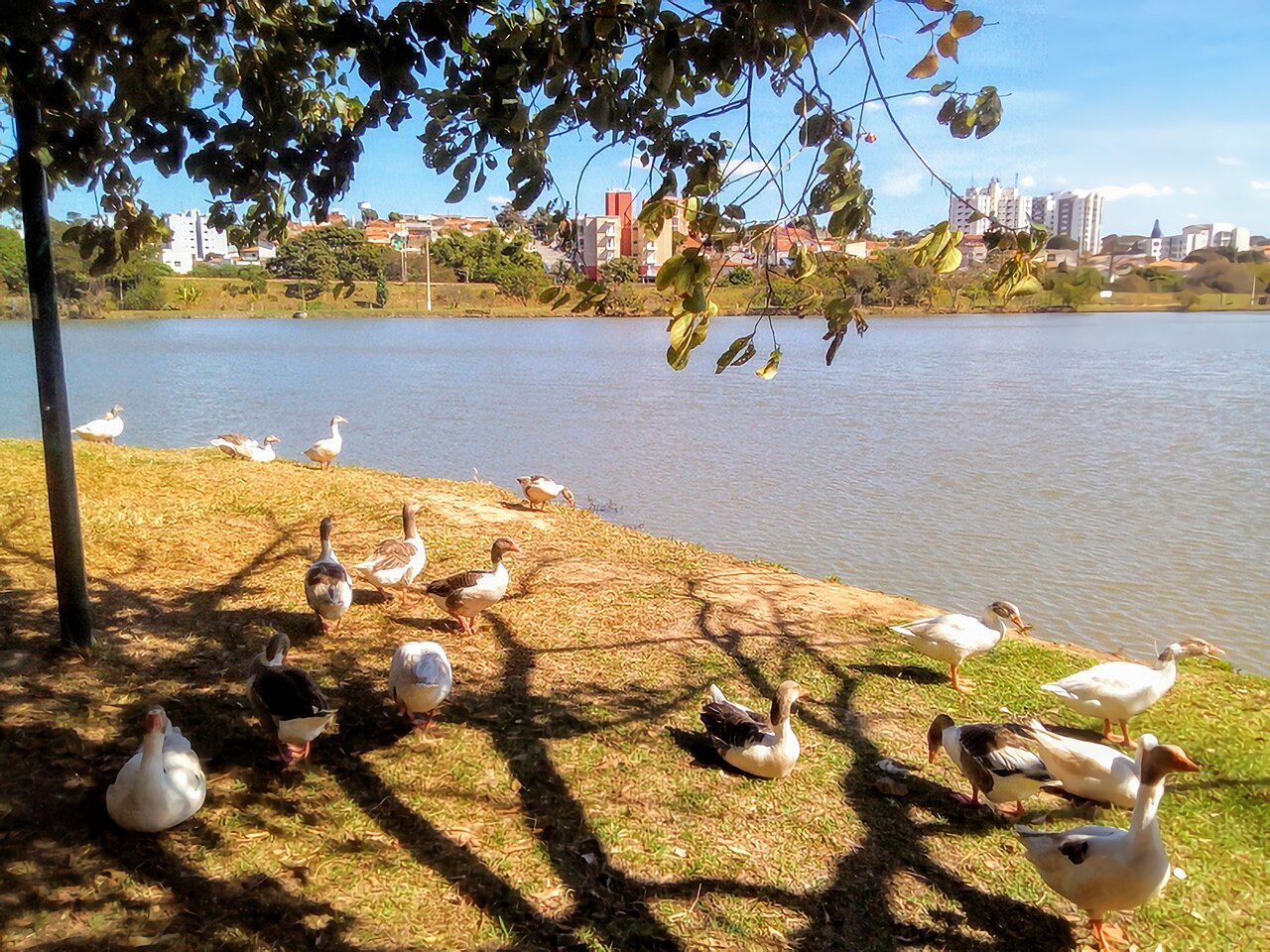 Represa em Vinhedo